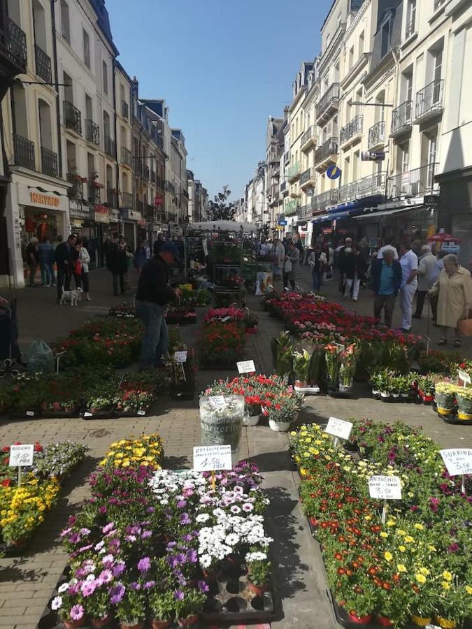 Bienvenue Sous Les Toits De Dieppe *** Hypercentre Esterno foto